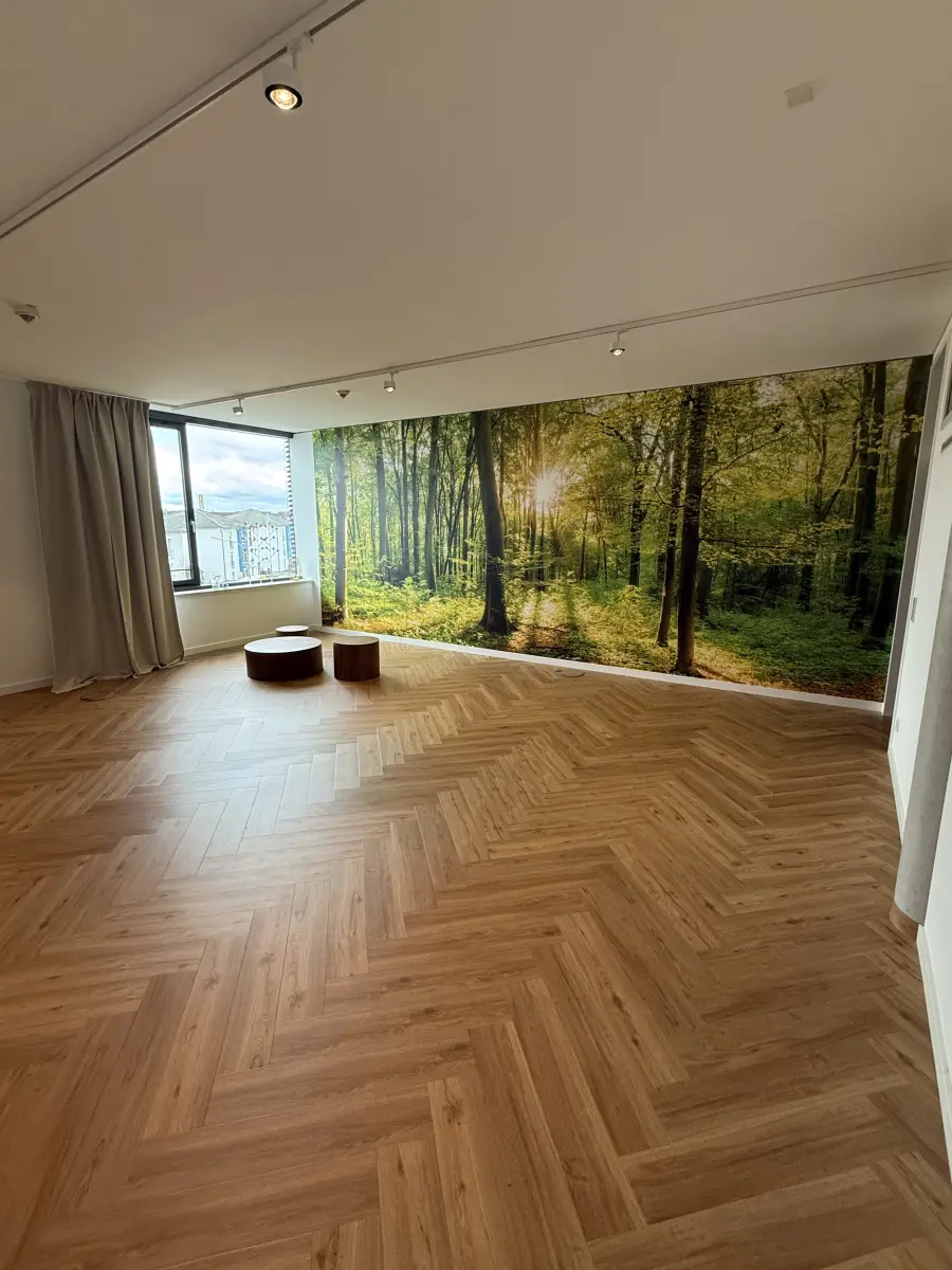 Studio Reset Ingolstadt